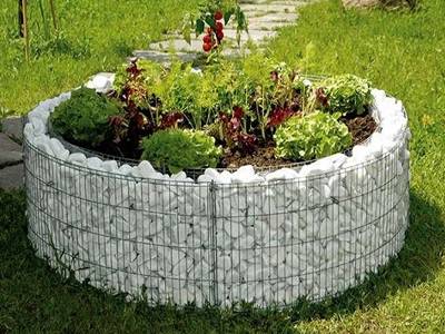A round shape gabion planter and several plants growing in it.